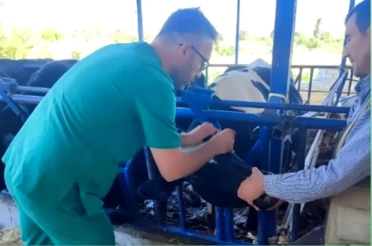 aydinda sap hastaligina karsi asi uyarisi nw6S7ibf