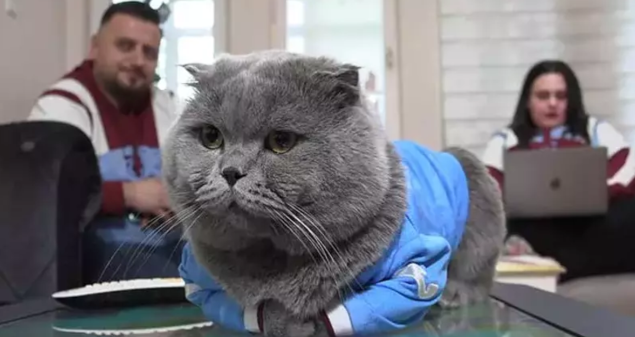 fanatik kedi toma stadyumda mac izlemek icin izin cikti nt2S2KSV