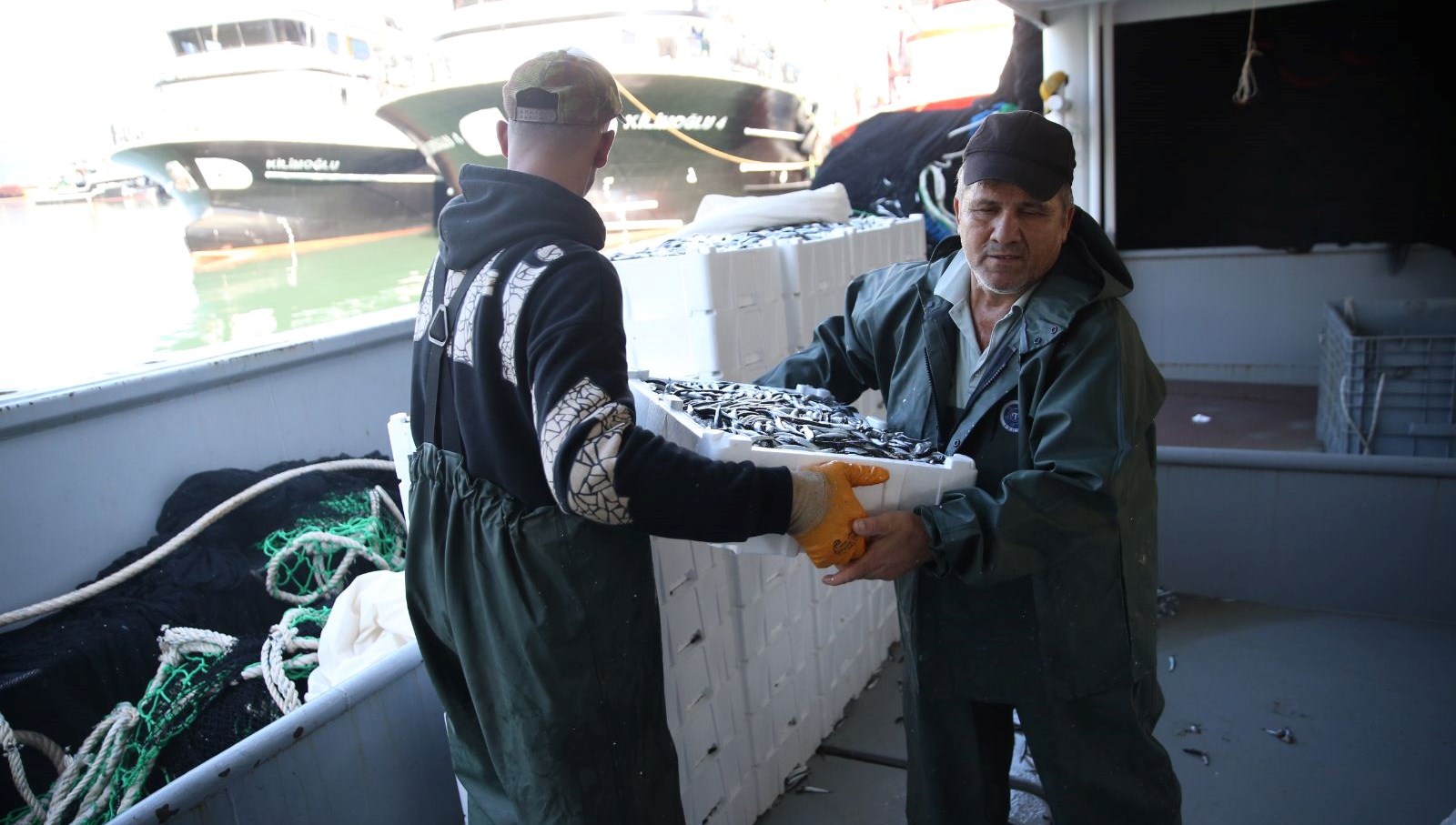 karadenizde hamsi bereketi kilosu 100 150 lira WWSUQGm4