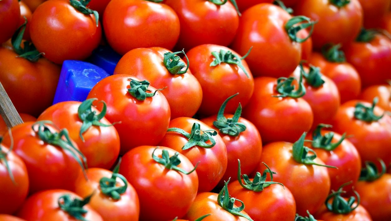 salmonella salgininin kaynagi ceri domatesler mi F7mcK2DJ