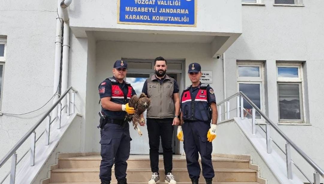yozgatta yarali bulunan kartal koruma altina alindi HkpSiIUf