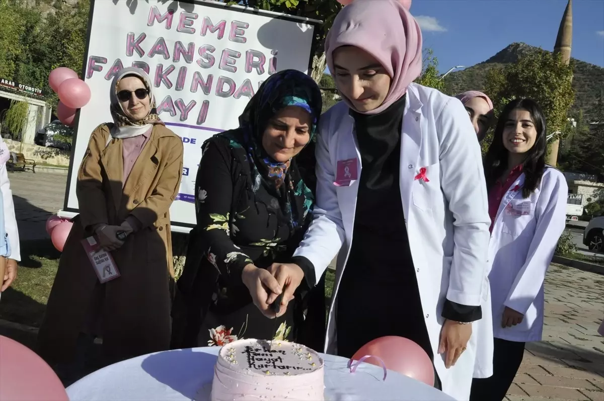 meme kanseri farkindalik etkinligi hKTlHpdE.jpg