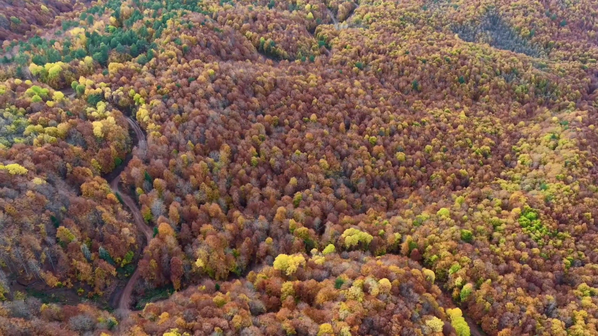 bolu mengende sonbahar guzelligi urYSpT4E.jpg