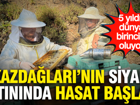 Kazdaglarinin siyah altininda hasat basladi 5 yildir dunya birincisi oluyor 9yVZepeN